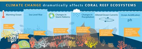 Is Climate Change Increasing El Niño Patterns? - SnowBrains