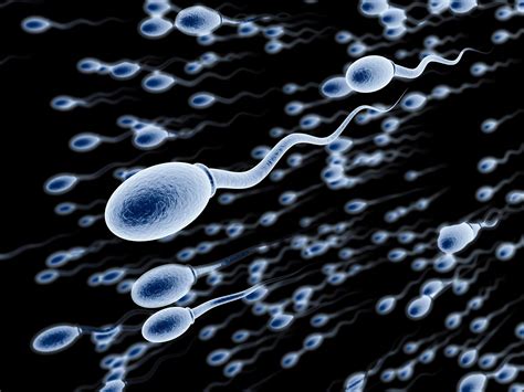 Infertile men 'could grow new sperm from skin cells' | The Independent | The Independent