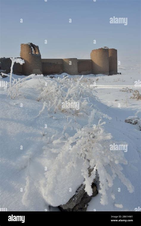 Ani fortress looks especial good in winter season. Ani is a ruined and uninhabited medieval ...