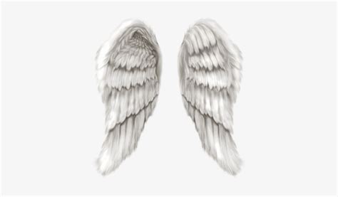 Angel Wings Png 14 Real Angel Wings Psd Images - Angel Wings Only Transparent PNG - 382x400 ...