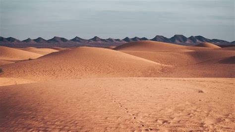 Mengenal Gurun Sahara: Padang Pasir Terbesar di Dunia yang Mampu ...