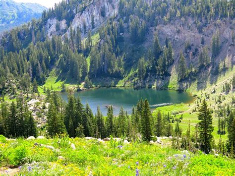 Hiking Trails: Catherine Pass in Albion Basin Alta, Utah | Utah national parks, Hiking trails ...