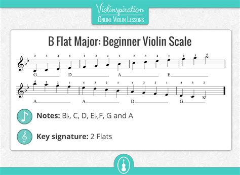 Violin Scales: The 5 Most Commonly Used Violin Scales - Violinspiration