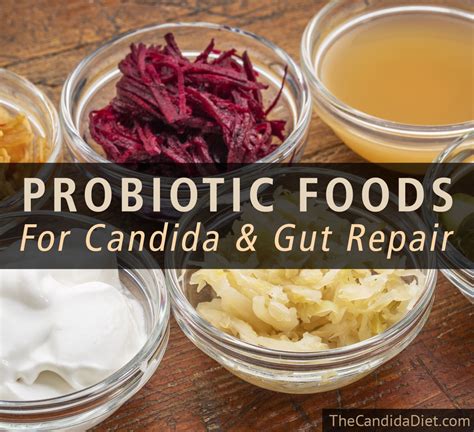 Probiotic Foods For Candida » The Candida Diet