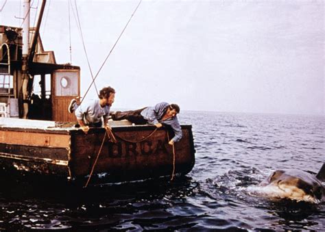 'Jaws': Steven Spielberg Said a Real Great White Shark Nearly Sank the Orca Boat