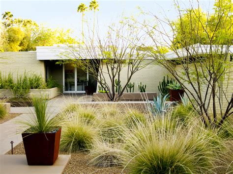 4 Essential Desert Landscaping Ideas - Sunset Magazine