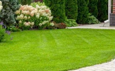 25 Best Landscapers in Albuquerque, NM | Landscaping from $29 | Best of 2024