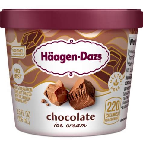 Haagen Dazs® Chocolate Ice Cream Cup, 3.6 fl oz - Kroger