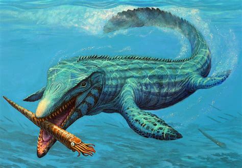 Mosasaurus | Land Before Time Wiki | FANDOM powered by Wikia