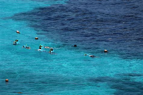 The Best Beaches for Snorkeling In Cancun | Garrafon Park Garrafon Park ...