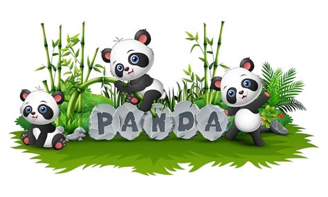 Premium Vector | Panda is playing together in garden