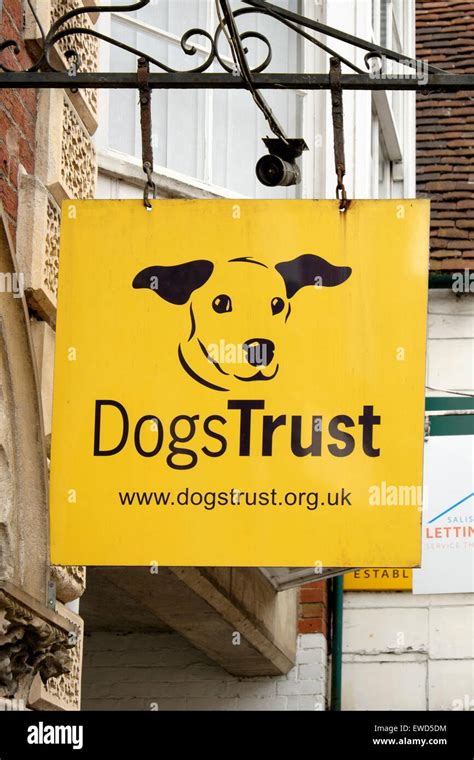 Dogs trust logo hi-res stock photography and images - Alamy