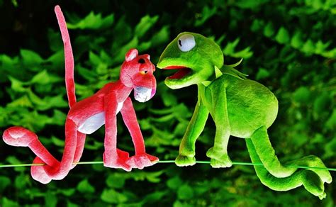 Hang Out Plush Toys Kermit The - Free photo on Pixabay