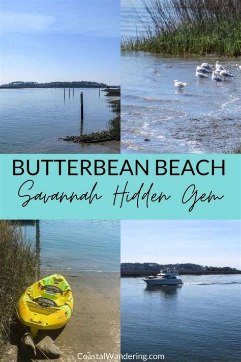 Butterbean Beach: Savannah GA Hidden Gem Only Locals Know About - Coastal Wandering