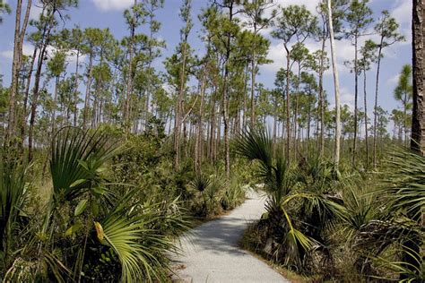 Hiking Trails - Everglades National Park (U.S. National Park Service)