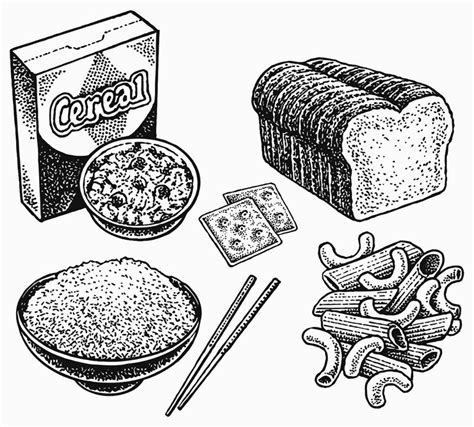 Sketch Of Triglyceride Lipid Model Coloring Pages