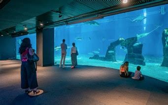 Genoa Aquarium Sharks Night fir Kids