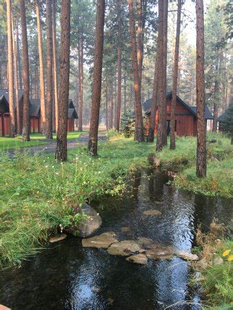 Five Pine Lodge & Spa $159 ($̶1̶7̶9̶) - 2018 Prices & Hotel Reviews - Sisters, Oregon - TripAdvisor