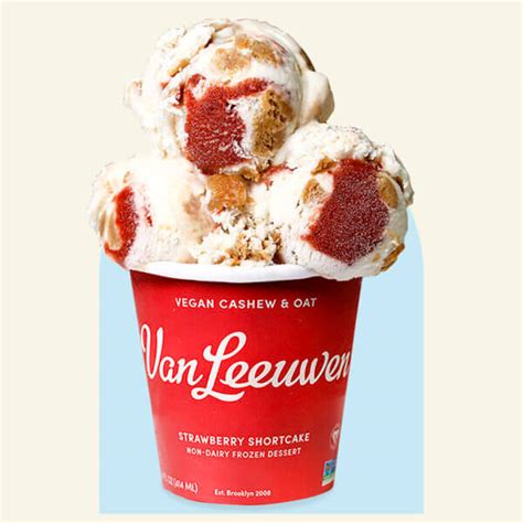 Vegan Ice Cream | Van Leeuwen Ice Cream