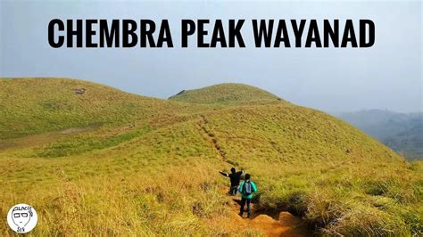 Chembra Peak Wayanad Kerala | Trekking in Chembra Peak | 4k Video - YouTube