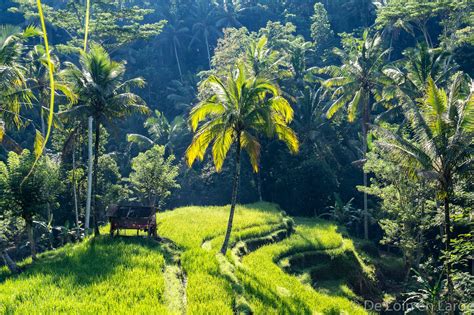 Bali : Impressions et conclusion du voyage