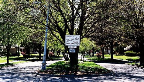 Rosedale Park | Roselle park, Pure michigan, Detroit today