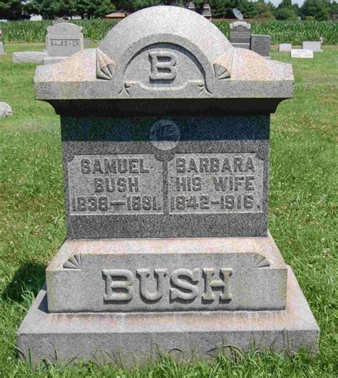 Samuel Bush (1838-1881): homenaje de Find a Grave