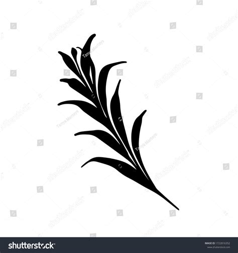 Silhouette Decorative Leaf Vector Black White Stock Vector (Royalty ...