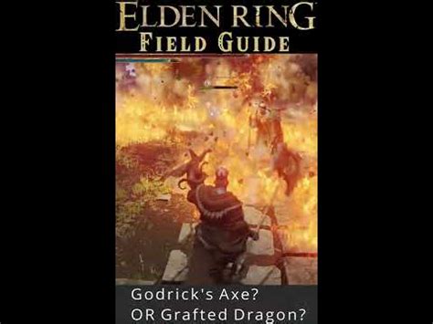 Which Godrick's Remembrance weapon? Godrick's Axe or Grafted Dragon? Elden Ring Field Guides # ...