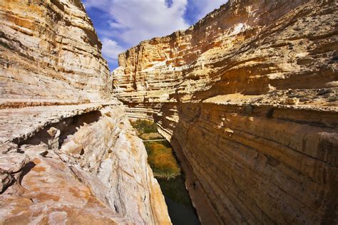 Top 10 National Parks in Israel