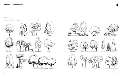 Architectural Drawing Trees