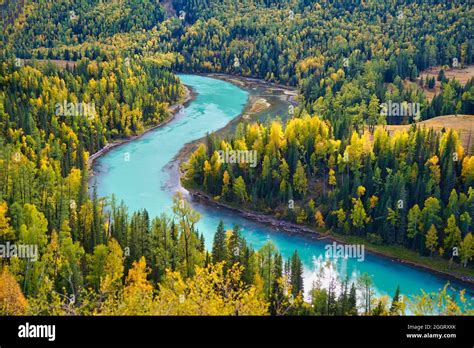 Moon Bay of Kanas Lake. The curved river with crystal blue water. Green trees. The natural ...