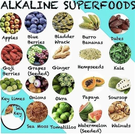 Pin by billygeorge on Fruitarianism | Dr sebi recipes alkaline diet, Dr ...