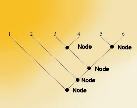 Node