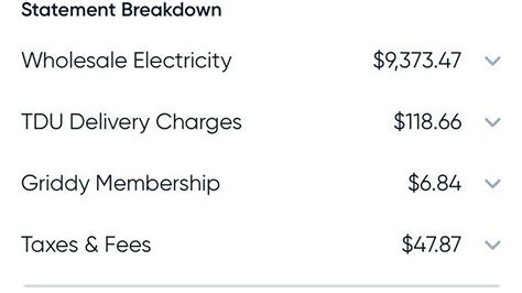 Brazos Electric Power Coop seeks bankruptcy protection after storm ...