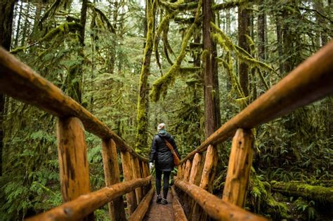 Free Photo | Person walking on a wooden narrow bridge with a mossy forest