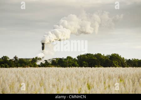 Sugar mill and sugar cane field, Mhlume, Swaziland Stock Photo: 85910297 - Alamy