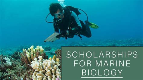 Scholarships for Marine Biology