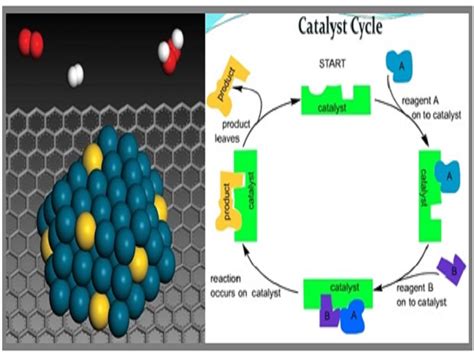 What is Catalysis?