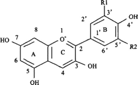 Structure of anthocyanin. | Download Scientific Diagram