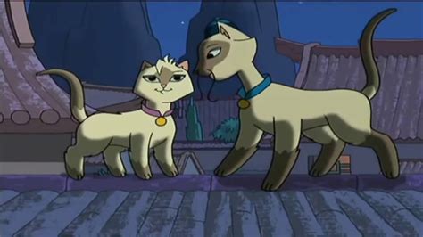 Sagwa Siamese Cat Full Episode in 2021 | Siamese cats, Siamese, Cats