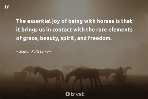 Good Horse Quotes And Sayings