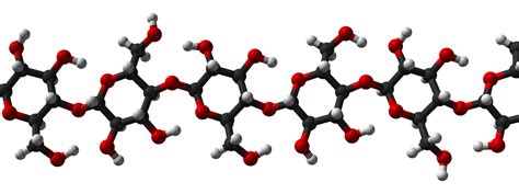 Glycans – the sweet difference - On Biology