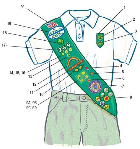 23 Best Girl Scout Sash Badge Placement ideas | girl scout sash, scout ...