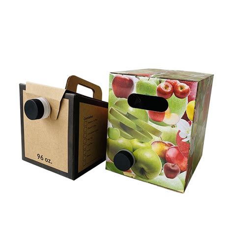 Fruit juice bag in box - HUACANG Spout Pouch