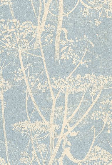 Cow Parsley by Cole & Son - Blue : Wallpaper Direct