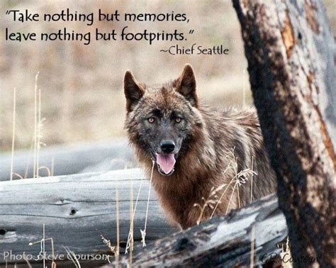 Chief Seattle Quotes Animals. QuotesGram