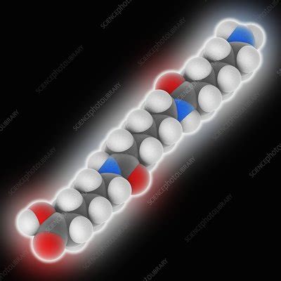 Nylon 6 polymer - Stock Image - C025/9574 - Science Photo Library