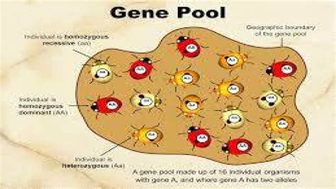 Major Gene Pool Centres – GKToday