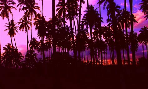 Classic Kaua'i Purple Sunset - Hawaii Pictures